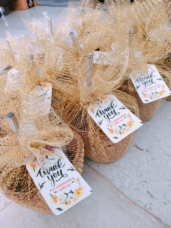 GIY(Grow it yourself) kit