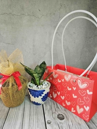 Red Heart Paper Bags - 1