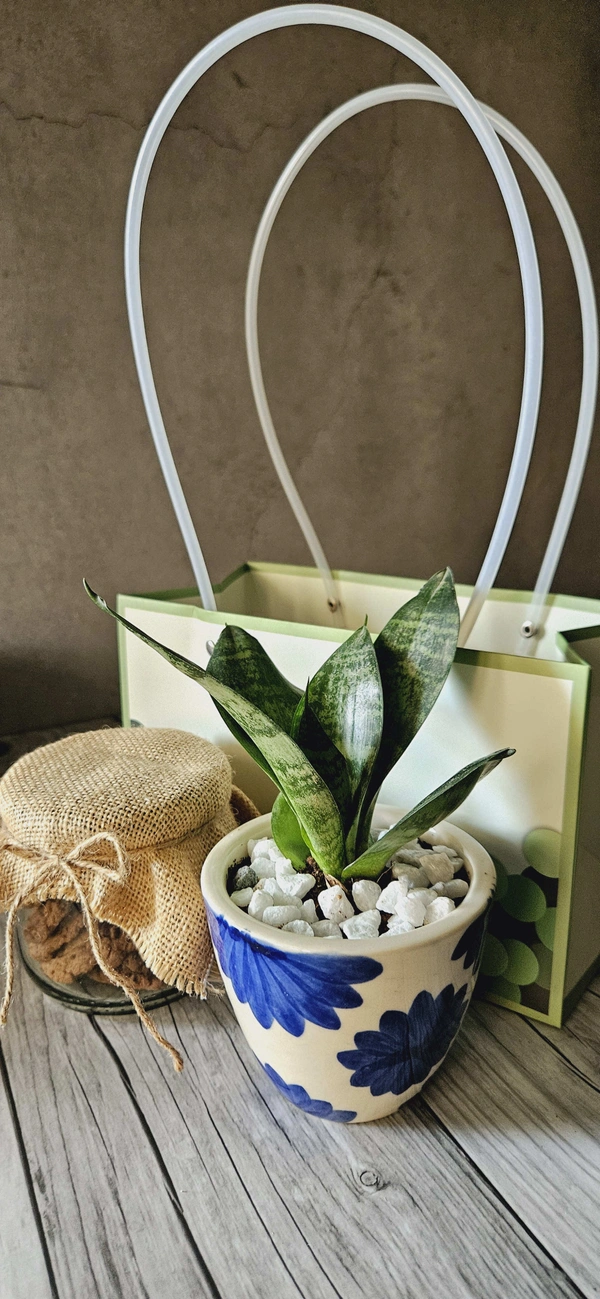 Green Bubble Paper Bag - 10