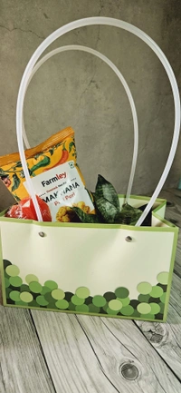 Green Bubble Paper Bag - 10