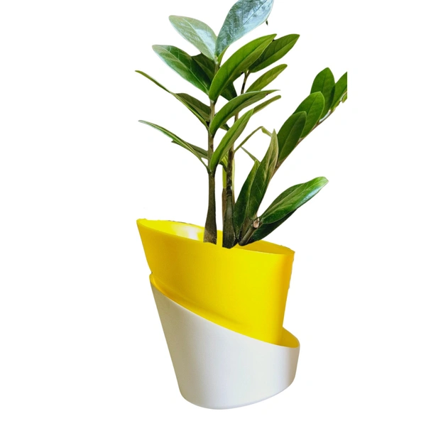 Self Watering Pot With Green ZZ Plant - Pink lace