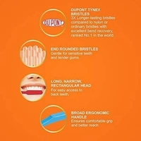 AJAY TB101 Toothbrush (1Pc) + Classic Medium Tooth Brush (12 PC) (13 Items in the set)