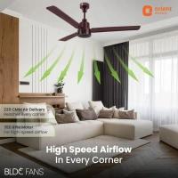 1200mm Ecotech Prime BLDC 5 Star Rated Ceiling Fan With Remote - 1200 mm, brown