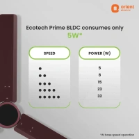 1200mm Ecotech Prime BLDC 5 Star Rated Ceiling Fan With Remote - 1200 mm, brown