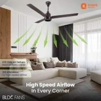 1200mm Ecotech Prime BLDC 5 Star Rated Ceiling Fan With Remote - 1200 mm, Bronze Copper