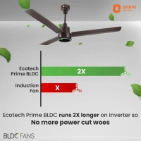1200mm Ecotech Prime BLDC 5 Star Rated Ceiling Fan With Remote - 1200 mm, Bronze Copper