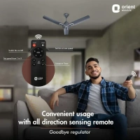 1200mm Jazz BLDC Decorative Ceiling Fan With Remote - 1200 mm, Daytone Grey