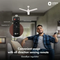 1200mm Jazz BLDC Decorative Ceiling Fan With Remote - 1200 mm, Orbes White