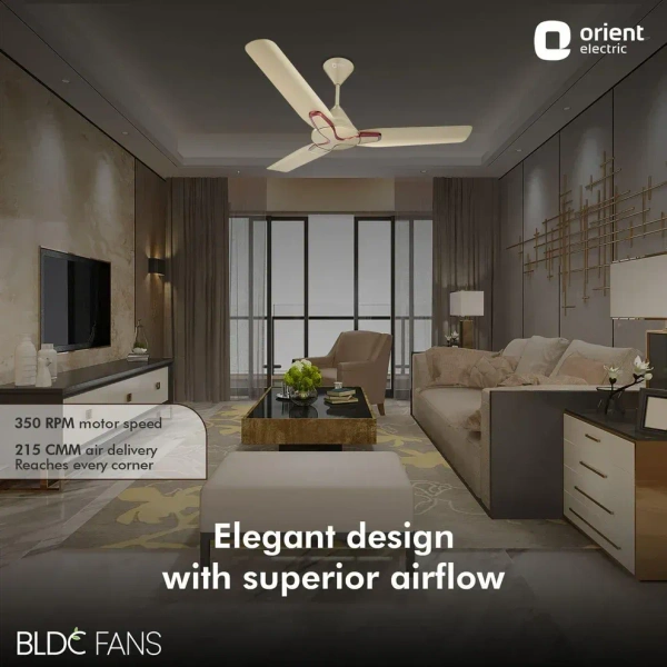 1200mm Jazz BLDC Decorative Ceiling Fan With Remote - 1200 mm, Royal Manioca