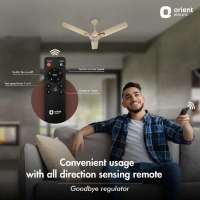 1200mm Jazz BLDC Decorative Ceiling Fan With Remote - 1200 mm, Royal Manioca