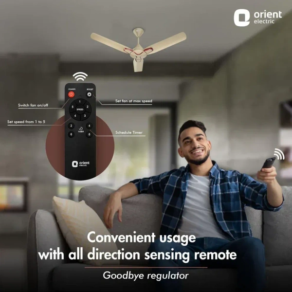 1200mm Jazz BLDC Decorative Ceiling Fan With Remote - 1200 mm, Royal Manioca