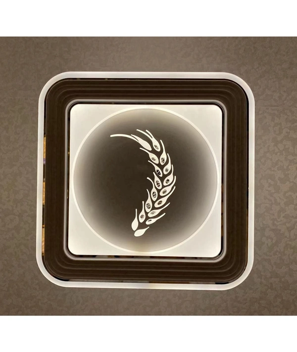 Square Center wall Light for Living Room 2337- black, white