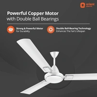 Orient Electric 1200 mm Falcon Deco Ceiling Fan - 1200 mm, White