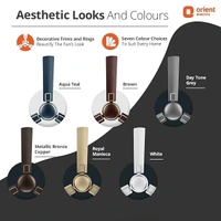 Orient Electric 1200 mm Falcon Deco Ceiling Fan - 1200 mm, Day Tone Grey