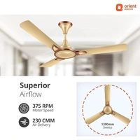 Orient Electric Kiara Shine 1200mm High Speed Ceiling Fan - 1200 mm, Chocolate Gold