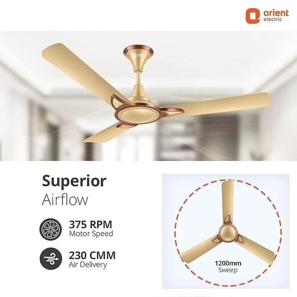 Orient Electric Kiara Shine 1200mm High Speed Ceiling Fan - 1200 mm, Chocolate Gold