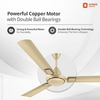 Orient Electric 1200 mm Falcon Deco Ceiling Fan - 1200 mm, Royal Manioca