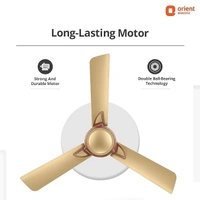 Orient Electric Kiara Shine 1200mm High Speed Ceiling Fan - 1200 mm, Chocolate Gold