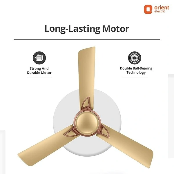 Orient Electric Kiara Shine 1200mm High Speed Ceiling Fan - 1200 mm, Chocolate Gold