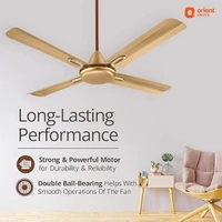 Orient Electric Quadro Ornamental 1200mm | 4 Blade, Premium BEE Star Rated Ceiling Fan - 1200 mm, Golden Chocolate