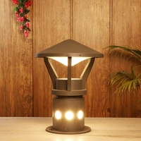 DELAMPS Outdoor Lighting Gate Pillar Post Lights (Black, 50W, GL4753,Plastic)