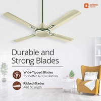 Orient Electric Quadro Ornamental 1200mm | 4 Blade, Premium BEE Star Rated Ceiling Fan - 1200 mm, Oyester Sea Green