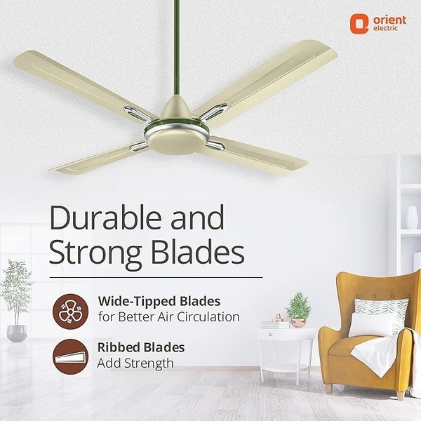 Orient Electric Quadro Ornamental 1200mm | 4 Blade, Premium BEE Star Rated Ceiling Fan - 1200 mm, Oyester Sea Green