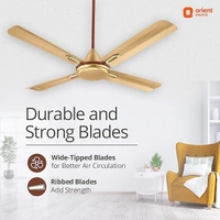 Orient Electric Quadro Ornamental 1200mm | 4 Blade, Premium BEE Star Rated Ceiling Fan - 1200 mm, Golden Chocolate