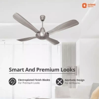 Orient Electric Stallion 1320 mm 4 Blade Ceiling Fan (Antique Copper, Pack of 1) - 1320 mm, Pewter Finish