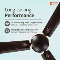 Orient Decorative Gratia Shine HS 1 Star Ceiling Fan - 1200 mm, Metallic Copper