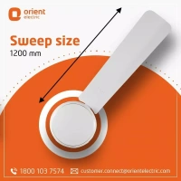 Orient Base BLDC Hector 500 White 900 mm 5 Star Ceiling Fan - 900 mm, white