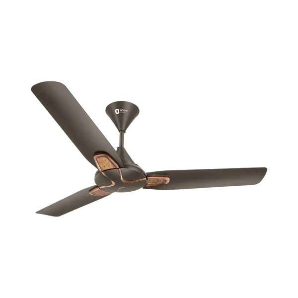 Orient Electric Jazz Maple Ceiling Fan - 900mm, Metallic Bronze/Copper
