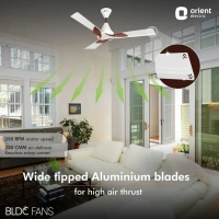 Orient Wendy BLDC Ceiling Fan 1200mm - 1200 mm, White Walnut