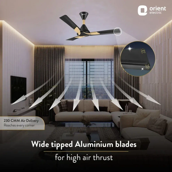 Orient Wendy BLDC Ceiling Fan 1200mm - 1200 mm, Metallic Black Gold