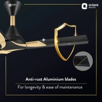 Orient Wendy BLDC Ceiling Fan 1200mm - 1200 mm, Metallic Black Gold