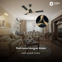 Orient Wendy BLDC Ceiling Fan 1200mm - 1200 mm, Metallic Black Gold