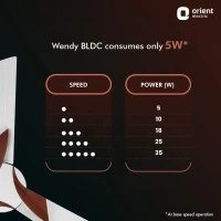 Orient Wendy BLDC Ceiling Fan 1200mm - 1200 mm, White Walnut