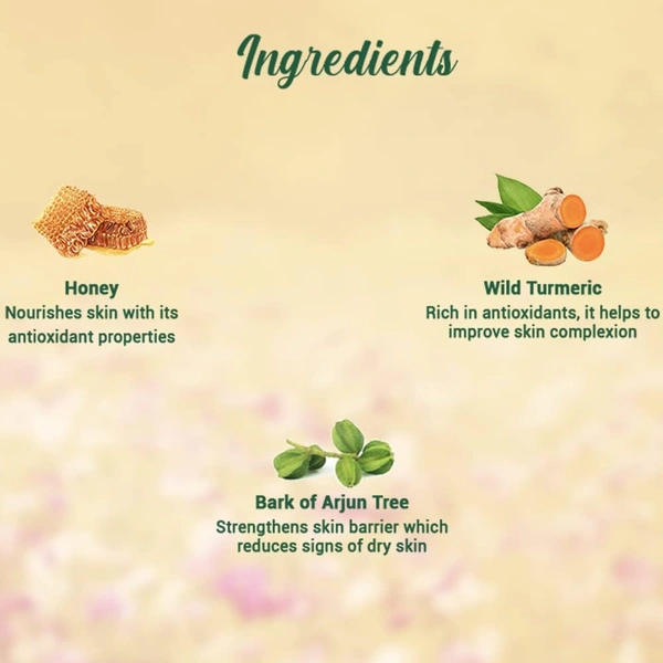 Biotique Honey Gel Soothe & Nourish Foaming Face wash 100ml | Gentle Cleansing Face Wash | Honey and Turmeric Cleanse | Non-Drying Face Wash | 100% Botanical Extracts | for All Skin Types |