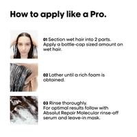 Loreal Professionnel Absolut Repair Molecular Sulfate-Free Shampoo 300ml | Deep Repair Shampoo For Damaged Hair | Professional Hair Strengthening & Repair Care