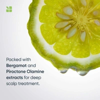 Matrix Biolage Scalppure Anti Dandruff Shampoo 400ml | Removes Dandruff & Scalp Buildup | Refreshing & Purifying Formula for Healthy Scalp - 1