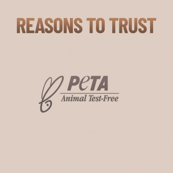 Swiss Beauty professional Face & Eye Brush Set 6pcs | Convenent And Stylish