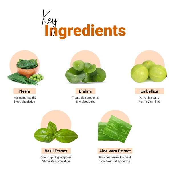 Vedic Line Neem & Brahmi Facial Kit | For Reduce Dark Spots & Pimples | Purifying & Acne Control Facial for Oily Skin | Gives Healthy And Glowing Skin , 620ml