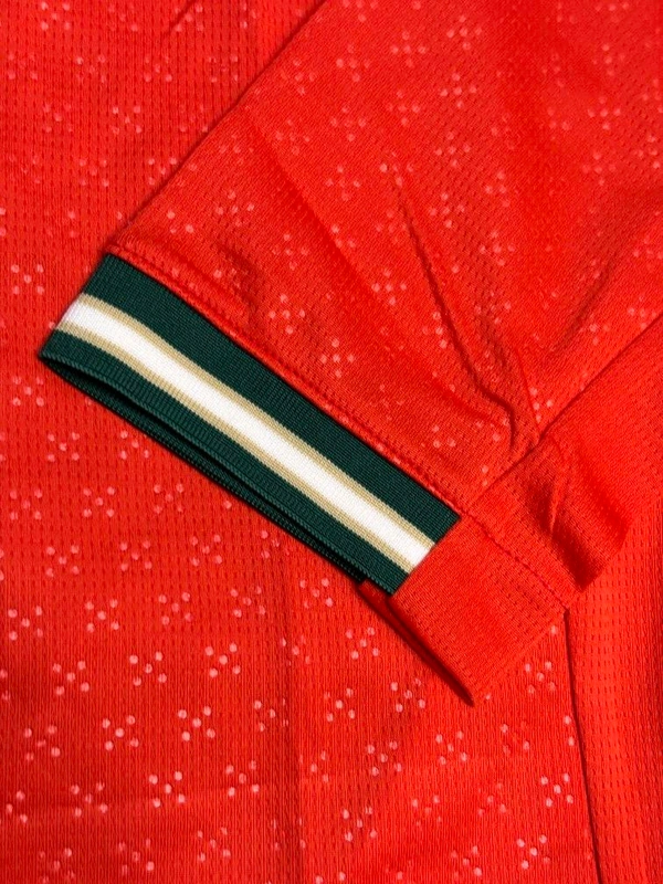 Portugal 2025 Home Kit Master Edition Full Sleeve - XL