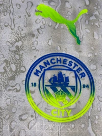 Manchester City 25/26 Third Replica Men's dryCELL Player Edition - L