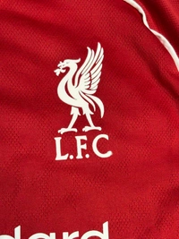 Liverpool FC 25/26 Home Kit Player Edition - L
