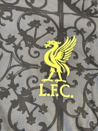 Liverpool FC 25/26 LFSTLR Jersey Shirt in Carbon and Halo Gold - XXL