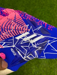 Predator Pro Blue And Pink Colour Goalkeeper Gloves - 9