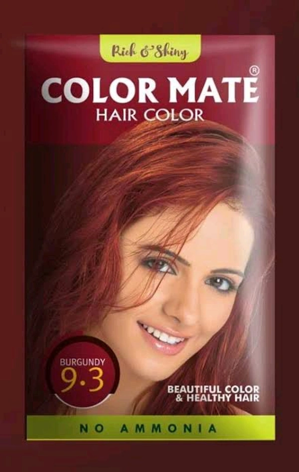 Rich & Shiny Burgundy Powder Color Mate Hair Color One Box Me 10 Packet - 10 GM