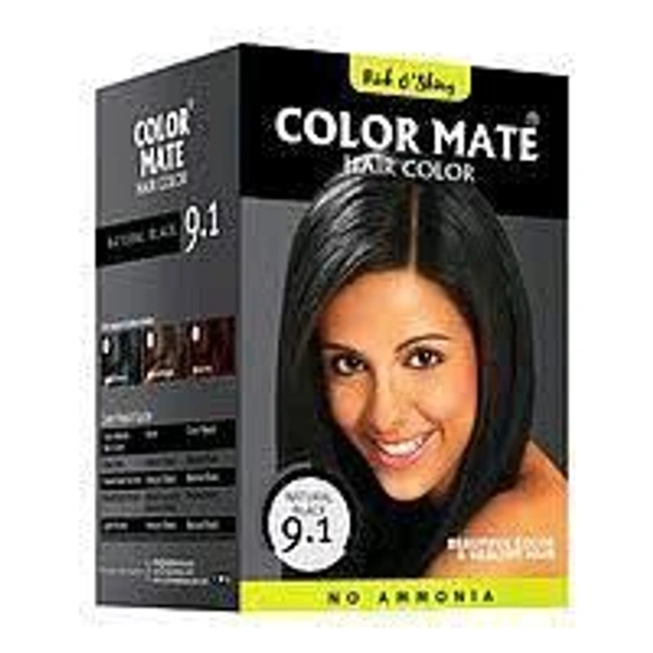 Rich & Shiny  Powder 9.1 Natural Black Color Mate Hair Color, Packaging Size: 150gm - 150 GM