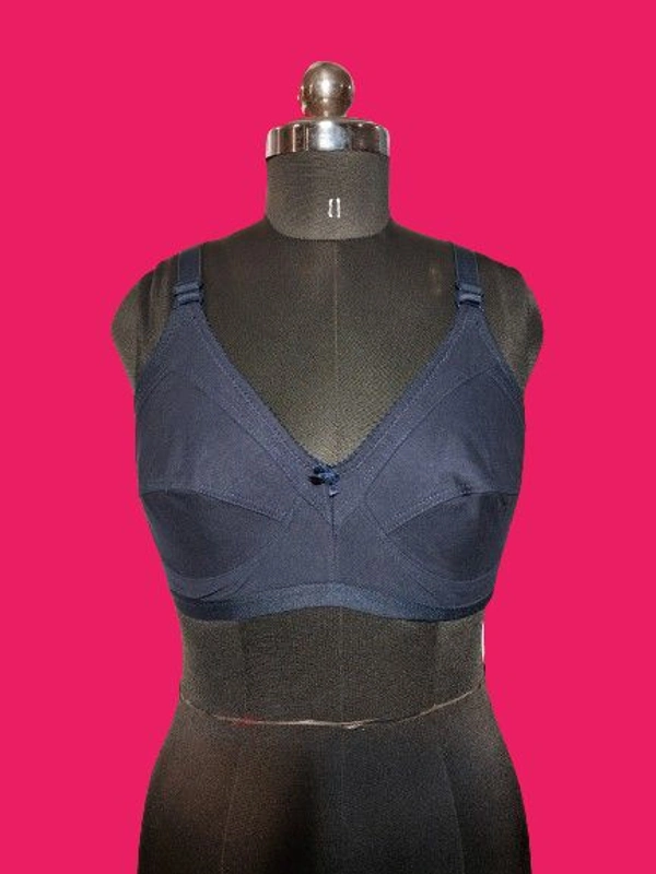 Nice Beauty Premium Lingerie Alia Hosiery Bra - Mix colour, 32